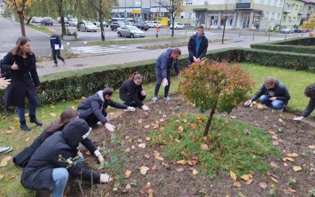 PROJEKT ŠAFRAN